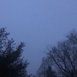 Meet your Posher, Steph